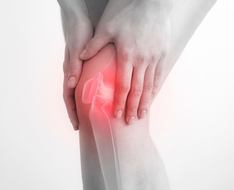 Association between infrapatellar fat pad ultrasound elasticity and anterior knee pain in patients with knee osteoarthritis